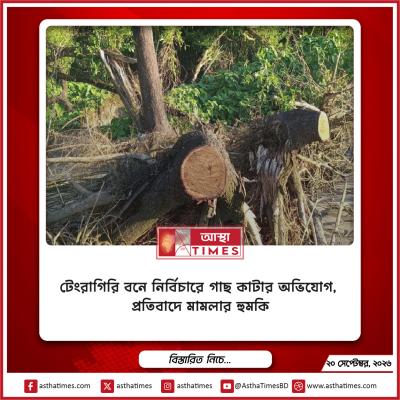 টেংরাগিরি বনে নির্বিচারে গাছ কাটার অভিযোগ, প্রতিবাদে মামলার হুমকি