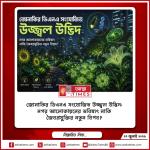 জোনাকির ডিএনএ সংযোজিত উজ্জ্বল উদ্ভিদ: নগর আলোকায়নের ভবিষ্যৎ নাকি জৈবপ্রযুক্তির নতুন বিপ্লব?