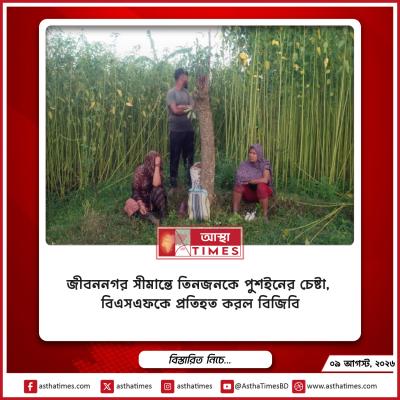 জীবননগর সীমান্তে তিনজনকে পুশইনের চেষ্টা, বিএসএফকে প্রতিহত করল বিজিবি